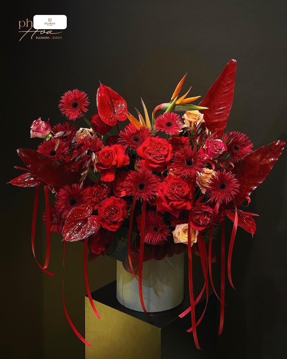 Thiết kế độc bản